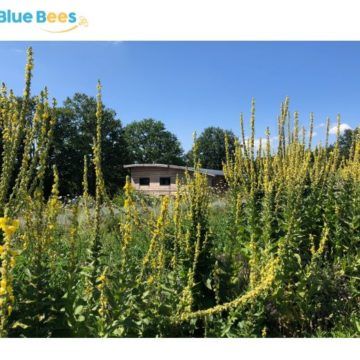 On a besoin de vous, La Ferme de Fardissou a besoin de vous