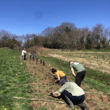 On a planté des haies