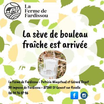 C&rsquo;est parti pour votre cure de sève de bouleau