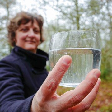 La Ferme de Fardissou récolte la sève de bouleau bio sur le Plateau de Millevaches en Limousin et vous la propose en cure détox de 3 semaines