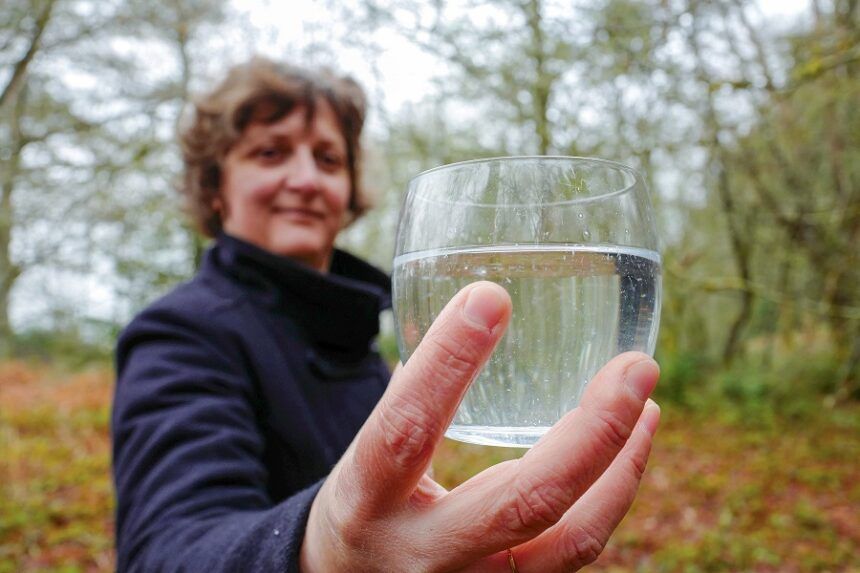 La Ferme de Fardissou récolte la sève de bouleau bio sur le Plateau de Millevaches en Limousin et vous la propose en cure détox de 3 semaines