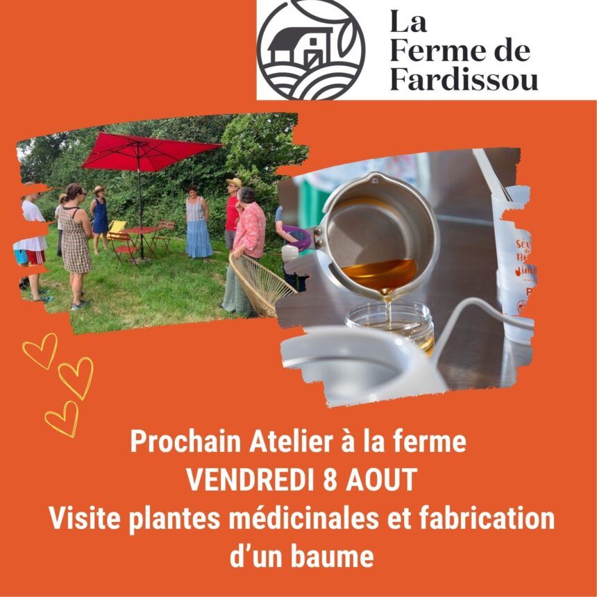 Prochain atelier à la ferme : vendredi 8 août