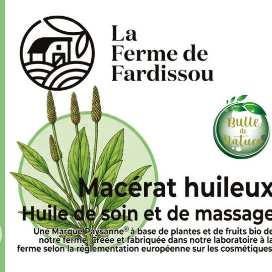 L'huile de soin et de massage au Plantain