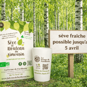 La sève de bouleau fraîche bio est disponible