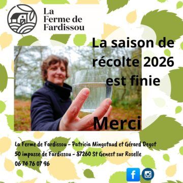 La récolte 2026 de sève de bouleau fraîche est finie.