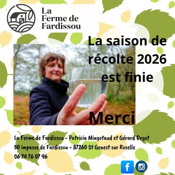 La récolte 2026 de sève de bouleau fraîche est finie.