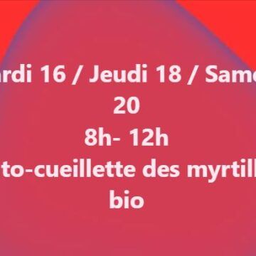semaine 15 juin cueillette des petits fruits rouges ferme de fardissou Les cueillettes de la semaine du 15 juin