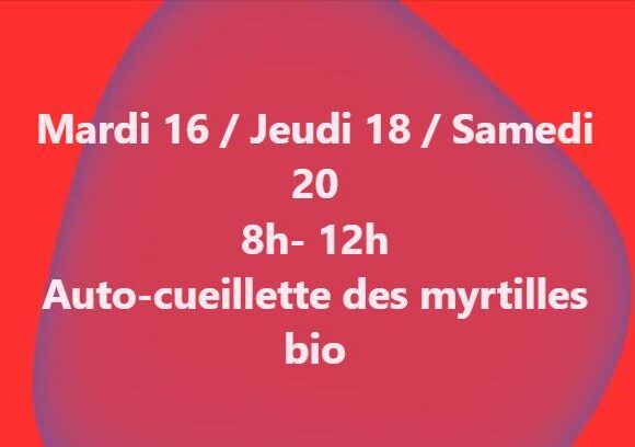 Les cueillettes de la semaine du 15 juin